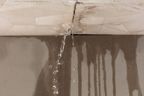 Professional Burst Pipe Cleanup technician working in Cambridge, MD